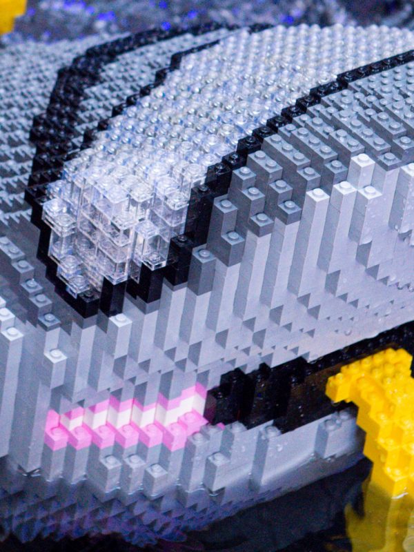 A shark land-exploring Savoy LEGO build